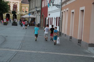 IMG 0462